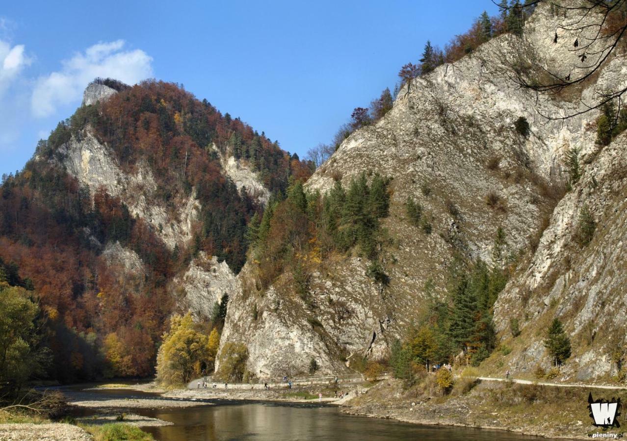 WILLA BORONIÓWKA Falsztyn nad Jeziorem Czorsztyńskim Exterior foto